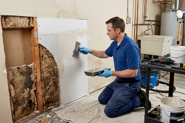 Mold and Drywall Repair Yucca Valley