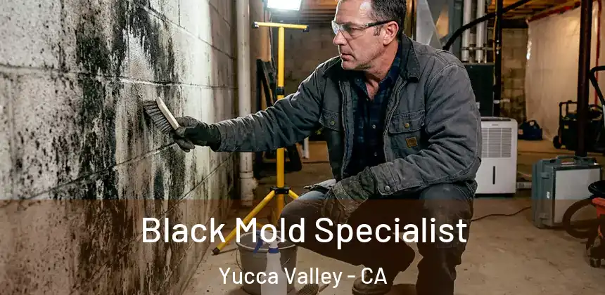 Black Mold Specialist Yucca Valley - CA