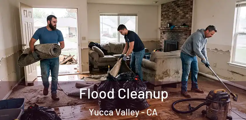  Flood Cleanup Yucca Valley - CA