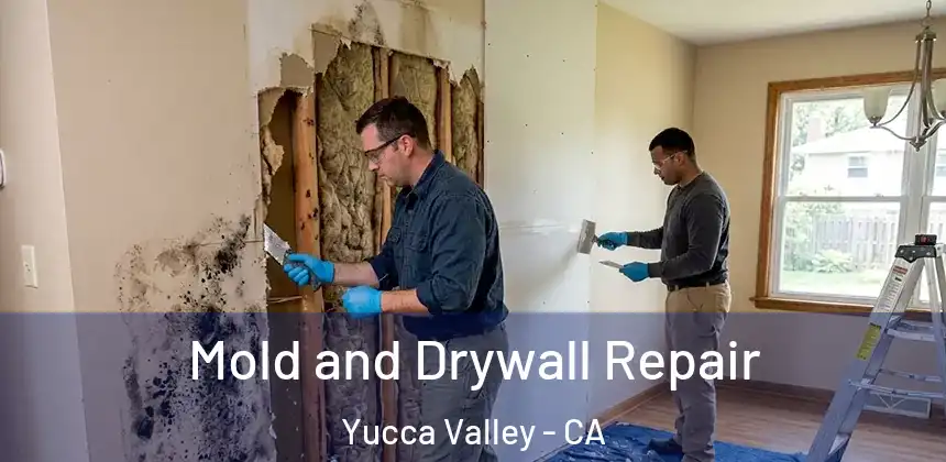 Mold and Drywall Repair Yucca Valley - CA