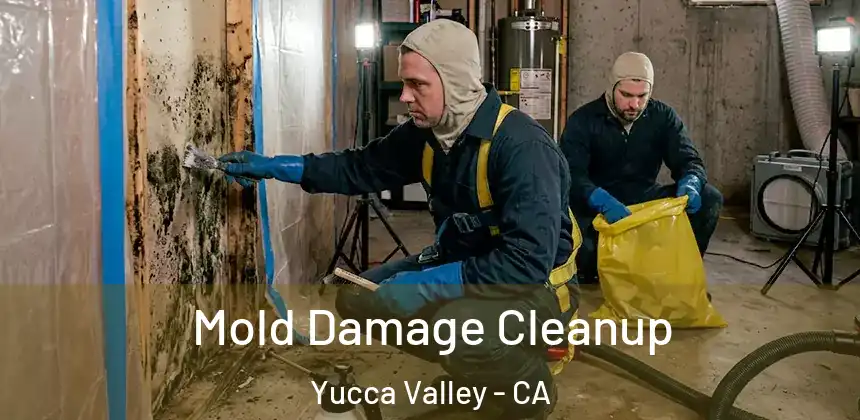  Mold Damage Cleanup Yucca Valley - CA