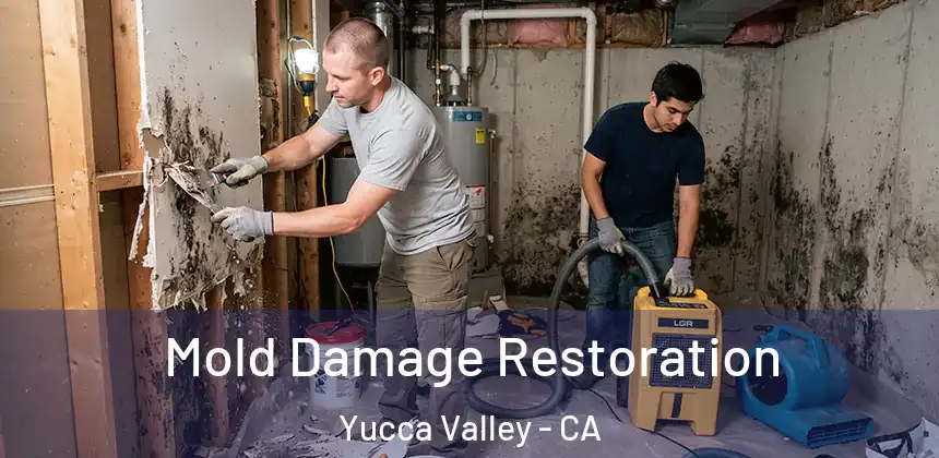 Mold Damage Restoration Yucca Valley - CA