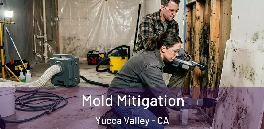 Mold Mitigation Yucca Valley - CA