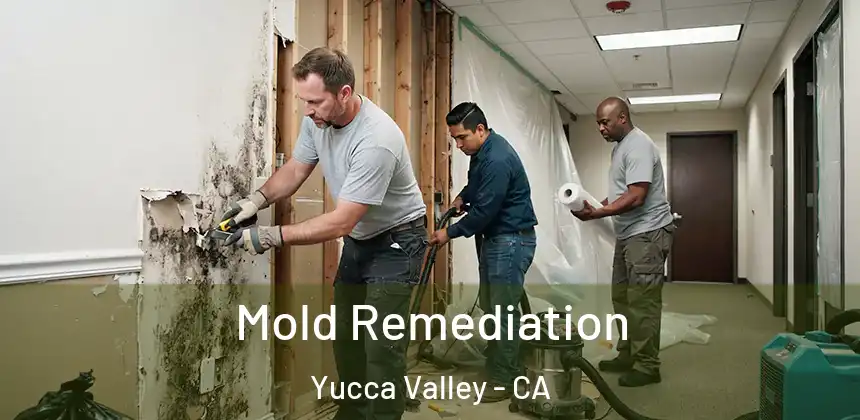 Mold Remediation Yucca Valley - CA