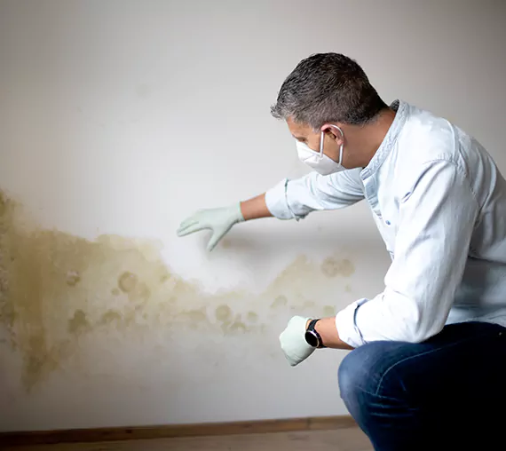 Mold Removal Service in Yucca Valley, CA