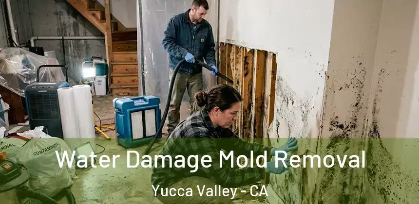 Water Damage Mold Removal Yucca Valley - CA